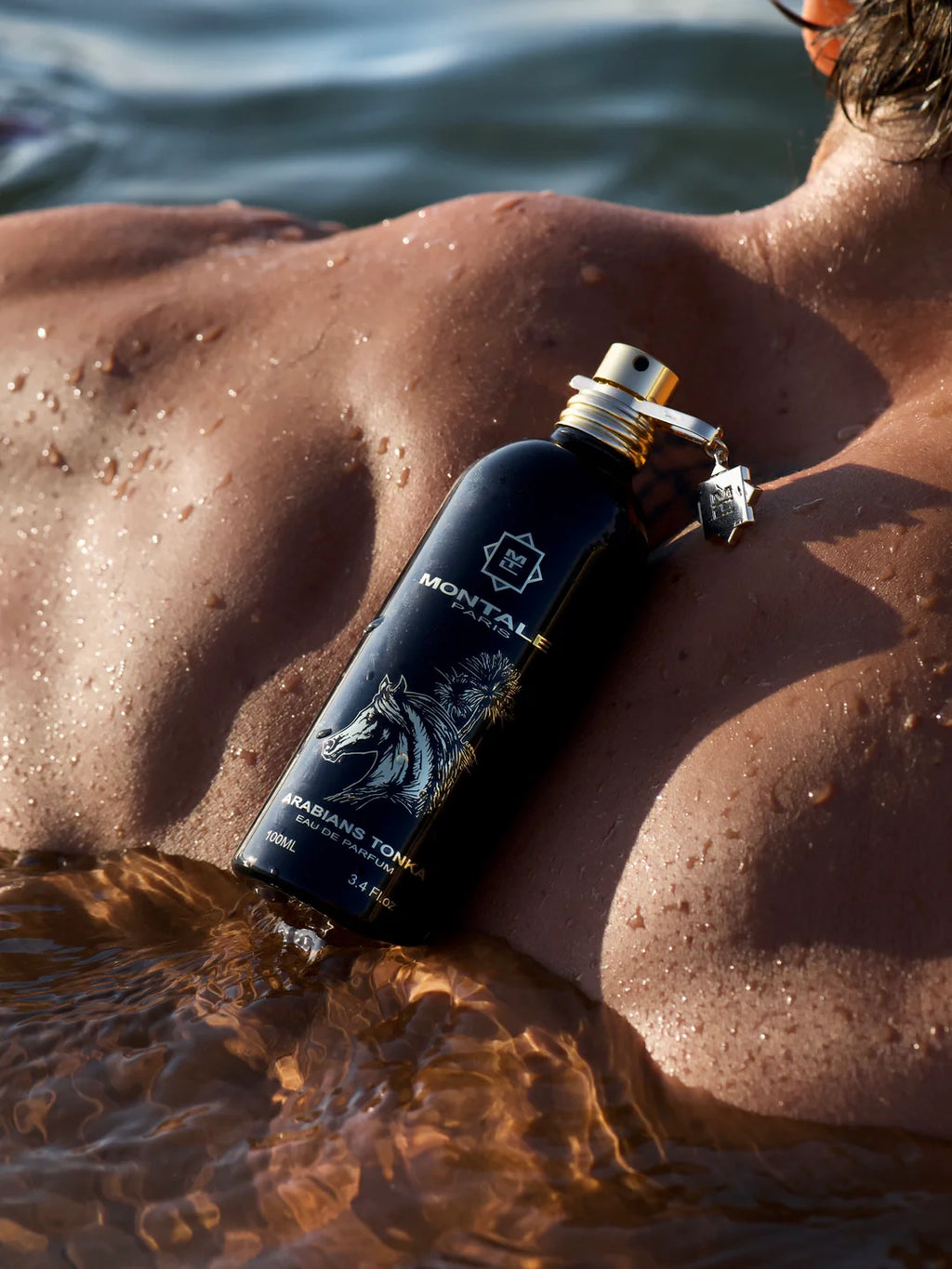 Montale Arabians Tonka